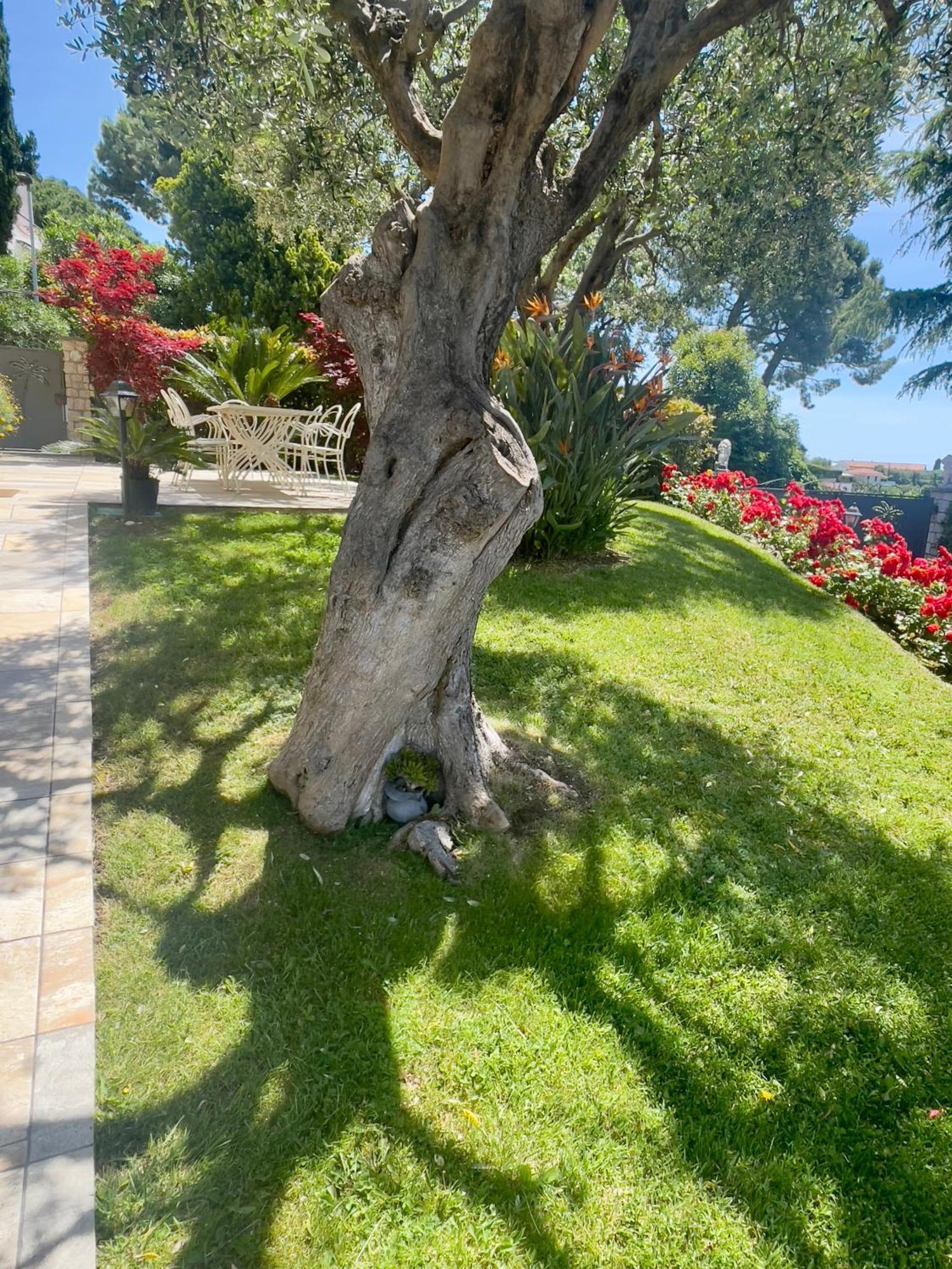Villa Gaia - Luxury Villa, Pool & Wellness Rooms Бордигера Экстерьер фото